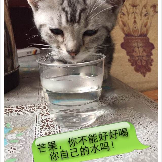 办理宫崎大学毕业证